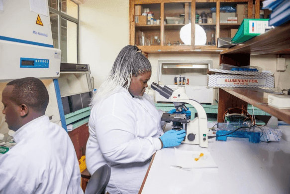 Le paludisme est un problème africain et l’Afrique doit trouver la solution