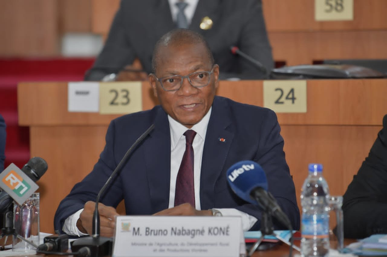 Agriculture et Sécurisation du foncier: Les députés donnent quitus à Bruno Koné pour 3 projets de loi