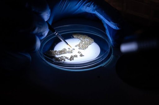 Au cœur de la science : comment l’innovation contre le paludisme est étudiée, évaluée et testée