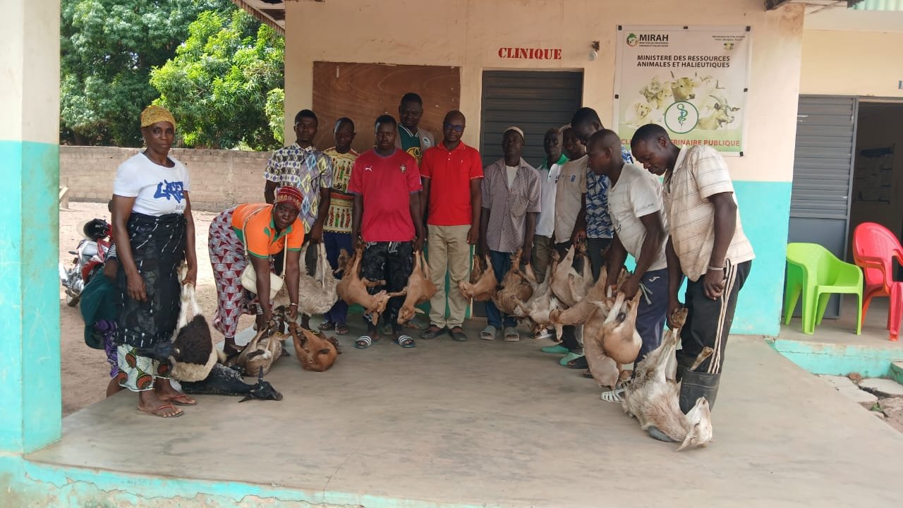 Côte d’Ivoire : un projet d’élevage pour autonomiser 165 bénéficiaires à Ouangolodougou