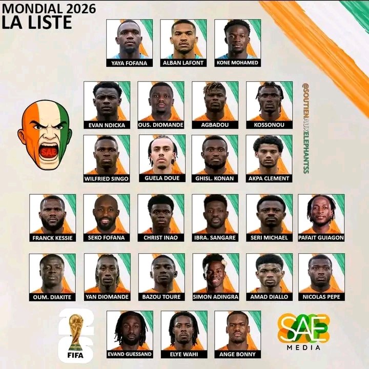 Côte d'Ivoire: Faé dévoile la liste des 26 Pachidermes   du Mondial