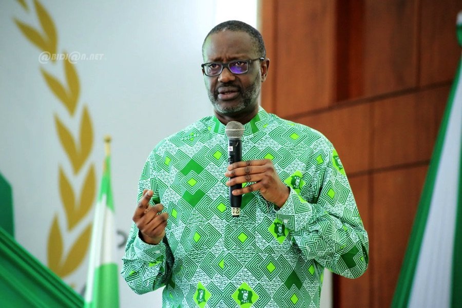 PDCI-RDA : Comment Tidjane Thiam et Alain Cocauthrey fragilisent le parti !