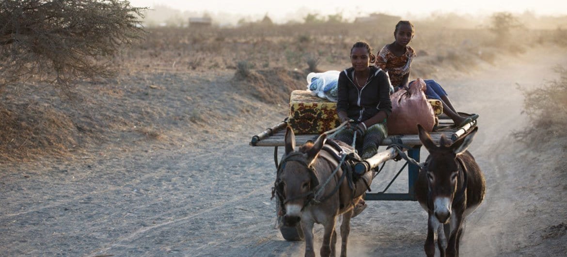 Ethiopie : la sÃ©cheresse prolongÃ©e pousse les familles au bord du gouffre â UNICEFï¿¼ï¿¼ï¿¼ï¿¼