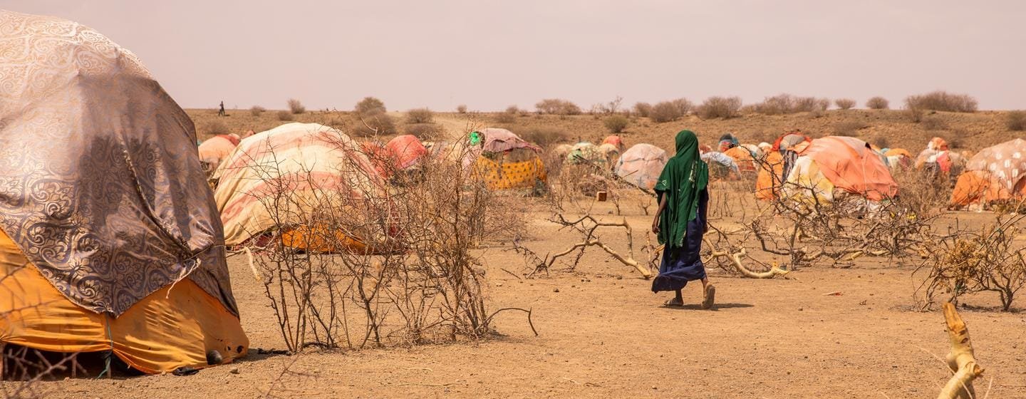 Le nombre de personnes déracinées dans le monde dépasse la barre des 100 millions pour la 1ère fois (HCR)