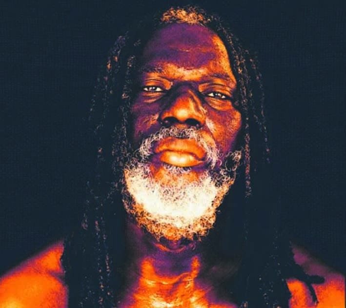 Sortie du nouvel album : Tiken Jah Fakoly toujours égal à lui-même, toujours dénonciateur