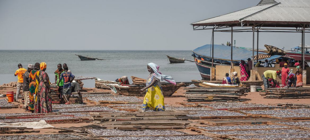 Les pays d’Afrique, des Caraïbes et du Pacifique prêts à montrer le véritable potentiel de leurs secteurs de la pêche et de l’aquaculture