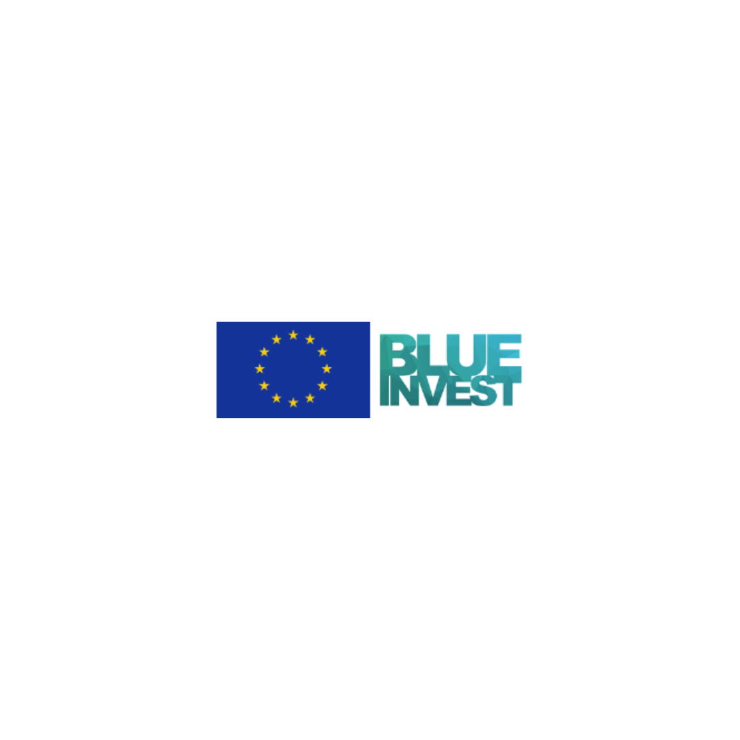 BlueInvest Africa 2024 : appel aux entrepreneurs africains