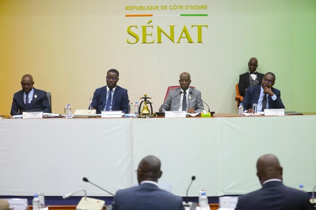 Sénat de Côte d’Ivoire: Vagondo Diomandé fait ratifier une ordonnance sur le Code électoral