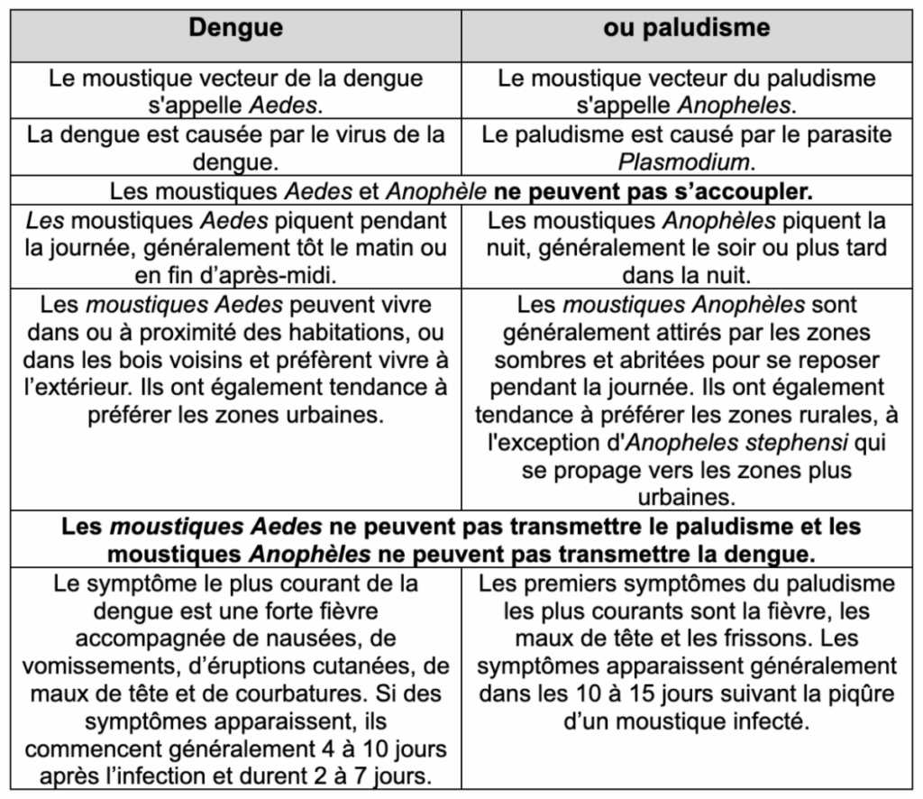 Dengue ou paludisme ? Comment distinguer les maladies transmises par les moustiques