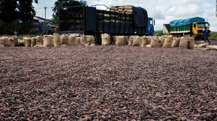 Côte d’Ivoire : Trafic transfrontalier de café-cacao , le Préfet, Commissaire de police et Chef du Bureau des Douanes de SIPILOU relevés de leurs fonctions