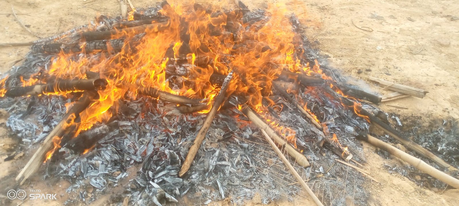 CIV/Daoukro : Une cargaison de viande de brousse saisie et incinérée par les Eaux et Forêts